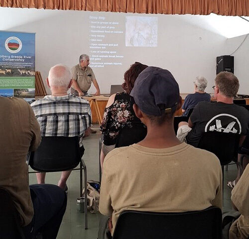 Workshop in collaboration with the Cape Leopard Trust